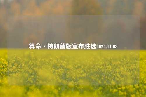 算命·特朗普版宣布胜选2024.11.08