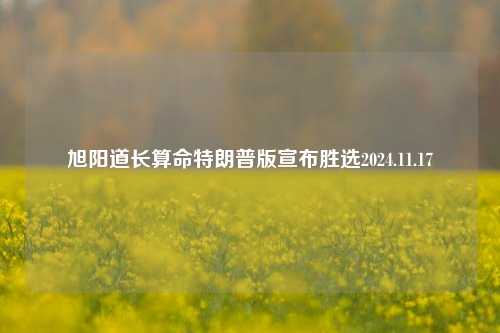 旭阳道长算命特朗普版宣布胜选2024.11.17