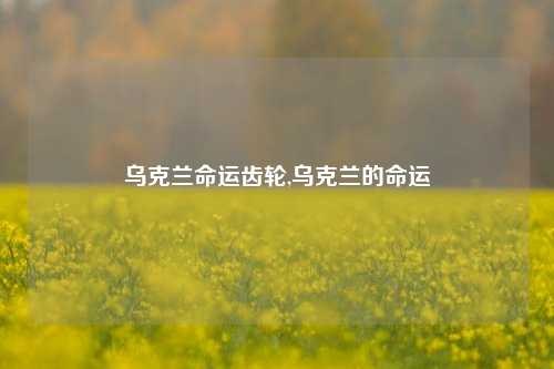 乌克兰命运齿轮,乌克兰的命运