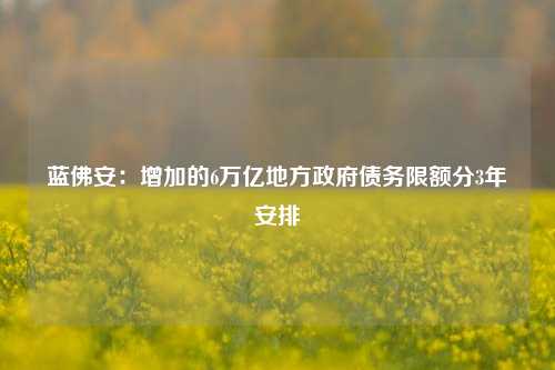 蓝佛安：增加的6万亿地方政府债务限额分3年安排