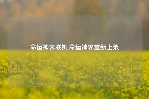 命运神界联机,命运神界重新上架