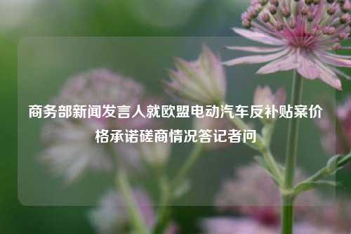 商务部新闻发言人就欧盟电动汽车反补贴案价格承诺磋商情况答记者问