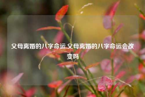 父母离婚的八字命运,父母离婚的八字命运会改变吗