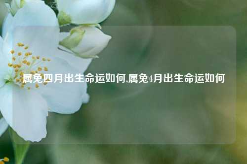 属兔四月出生命运如何,属兔4月出生命运如何