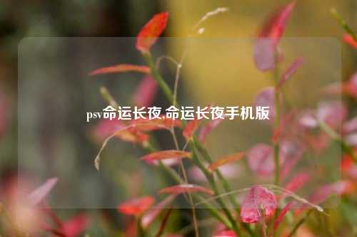 psv命运长夜,命运长夜手机版