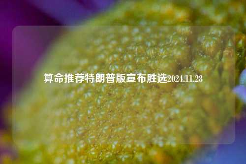 算命推荐特朗普版宣布胜选2024.11.28