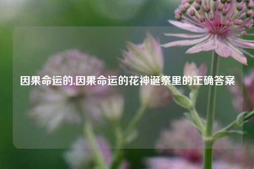 因果命运的,因果命运的花神诞祭里的正确答案