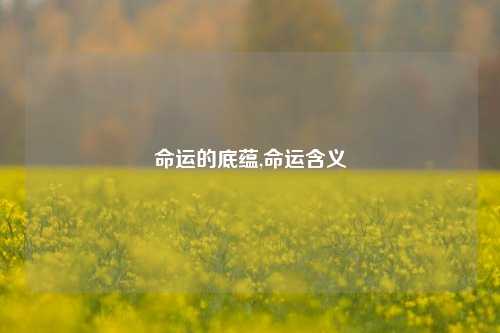 命运的底蕴,命运含义