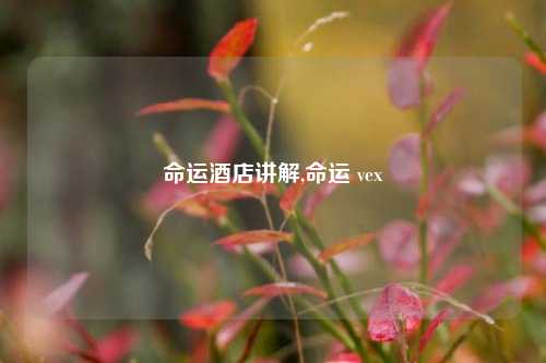 命运酒店讲解,命运 vex