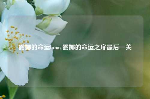 露娜的命运lunas,露娜的命运之扉最后一关