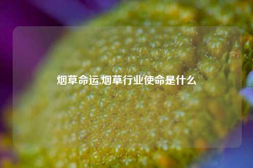 烟草命运,烟草行业使命是什么