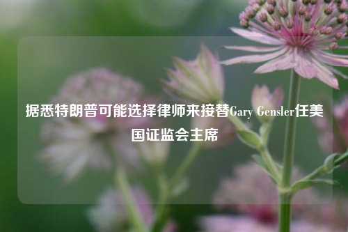 据悉特朗普可能选择律师来接替Gary Gensler任美国证监会主席