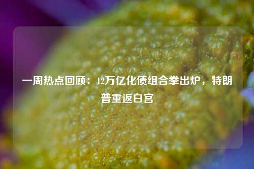 一周热点回顾：12万亿化债组合拳出炉，特朗普重返白宫