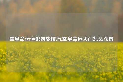 拳皇命运道馆对战技巧,拳皇命运大门怎么获得