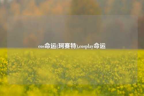 cos命运(珂赛特),cosplay命运