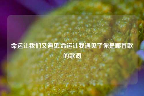 命运让我们又遇见,命运让我遇见了你是哪首歌的歌词