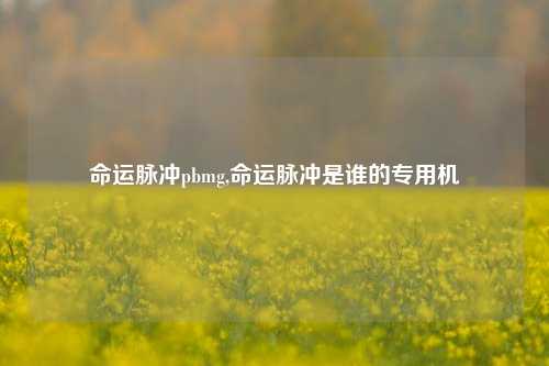 命运脉冲pbmg,命运脉冲是谁的专用机