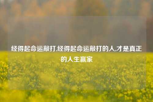 经得起命运敲打,经得起命运敲打的人,才是真正的人生赢家