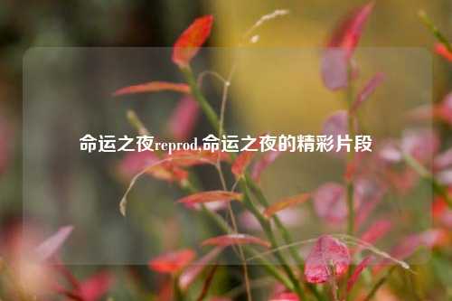 命运之夜reprod,命运之夜的精彩片段