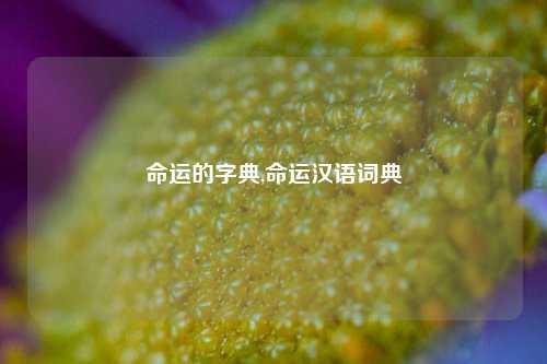 命运的字典,命运汉语词典