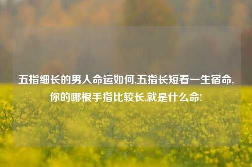 五指细长的男人命运如何,五指长短看一生宿命,你的哪根手指比较长,就是什么命!