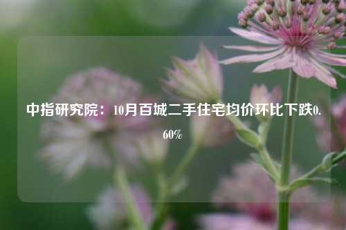 中指研究院：10月百城二手住宅均价环比下跌0.60%