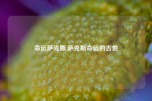 命运萨克斯,萨克斯命运的吉他