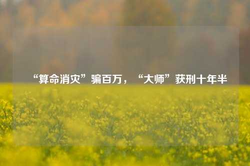 “算命消灾”骗百万，“大师”获刑十年半