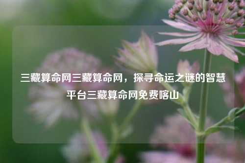 三藏算命网：探索命运之谜的智慧平台