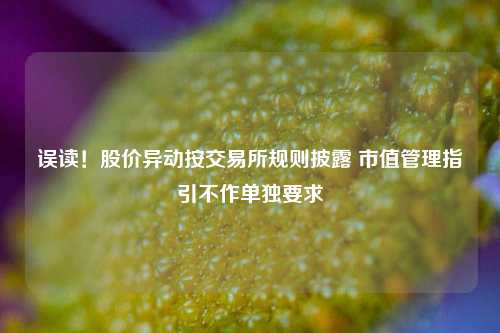 误读！股价异动按交易所规则披露 市值管理指引不作单独要求