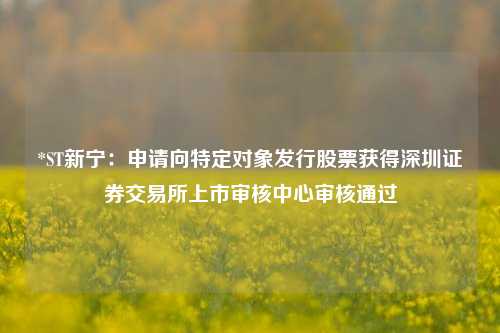 *ST新宁：申请向特定对象发行股票获得深圳证券交易所上市审核中心审核通过