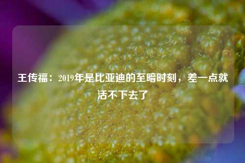 王传福：2019年是比亚迪的至暗时刻，差一点就活不下去了