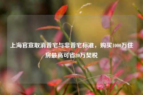 上海官宣取消普宅与非普宅标准，购买1000万住房最高可省20万契税