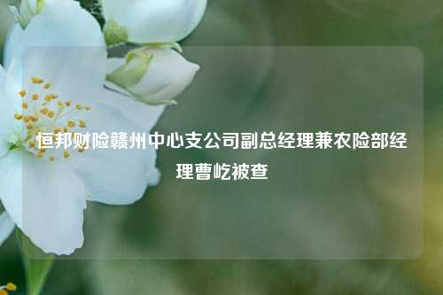 恒邦财险赣州中心支公司副总经理兼农险部经理曹屹被查