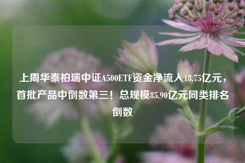 上周华泰柏瑞中证A500ETF资金净流入18.75亿元，首批产品中倒数第三！总规模85.90亿元同类排名倒数