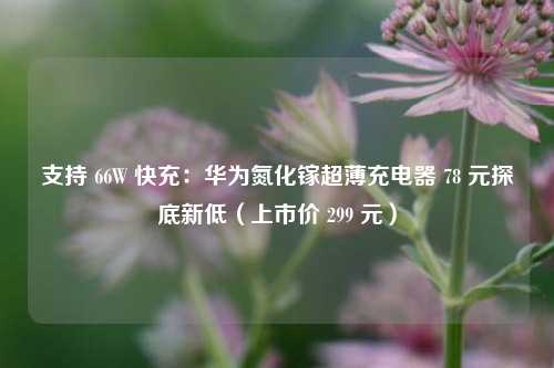 支持 66W 快充：华为氮化镓超薄充电器 78 元探底新低（上市价 299 元）