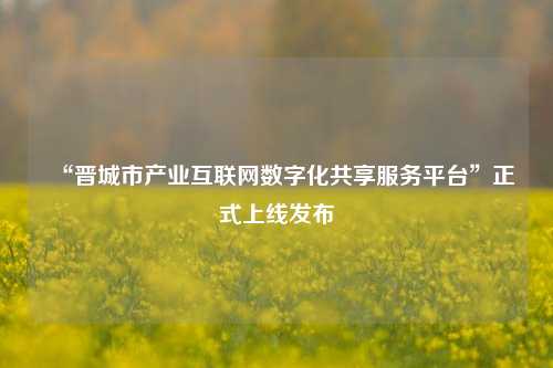 “晋城市产业互联网数字化共享服务平台”正式上线发布