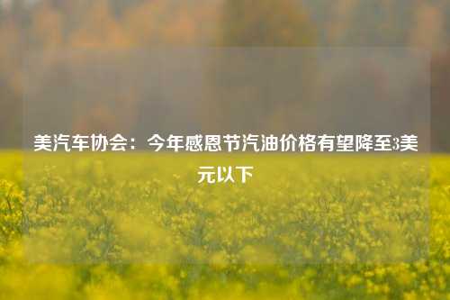 美汽车协会：今年感恩节汽油价格有望降至3美元以下