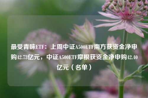 最受青睐ETF：上周中证A500ETF南方获资金净申购42.73亿元，中证A500ETF摩根获资金净申购42.40亿元（名单）