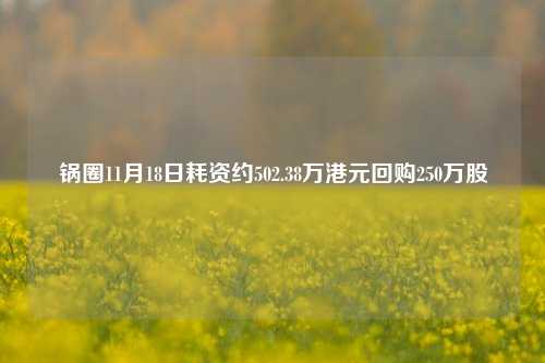 锅圈11月18日耗资约502.38万港元回购250万股