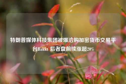 特朗普媒体科技集团被爆洽购加密货币交易平台Bakkt 后者盘前续涨超20%