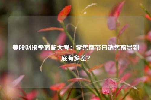 美股财报季面临大考：零售商节日销售前景到底有多差？