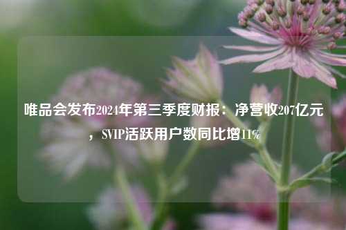 唯品会发布2024年第三季度财报：净营收207亿元，SVIP活跃用户数同比增11%