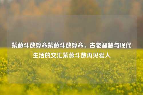 紫薇斗数算命紫薇斗数算命，古老智慧与现代生活的交汇紫薇斗数再见爱人