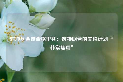 对冲基金传奇格里芬：对特朗普的关税计划“非常焦虑”