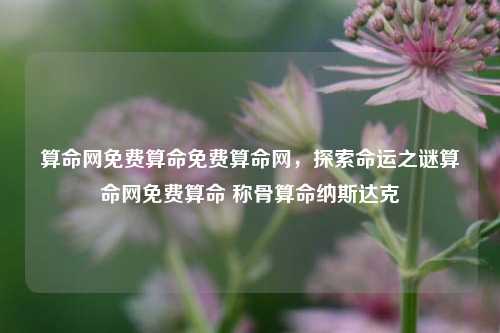 算命网免费算命及纳斯达克对比图