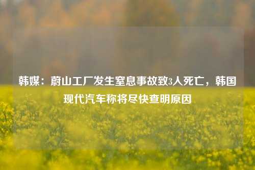 韩媒：蔚山工厂发生窒息事故致3人死亡，韩国现代汽车称将尽快查明原因