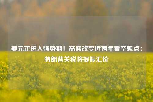 美元正进入强势期！高盛改变近两年看空观点：特朗普关税将提振汇价