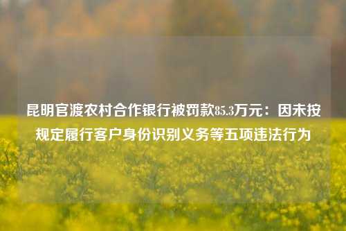 昆明官渡农村合作银行被罚款85.3万元：因未按规定履行客户身份识别义务等五项违法行为