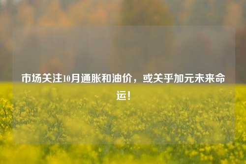 市场关注10月通胀和油价，或关乎加元未来命运！